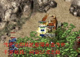 ������˾���ĳưԺϻ����������ؼ����ʶ�ɳ��֮��