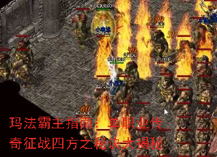 �귨����ָ�ϣ���ְҵ������ս�ķ�֮�ؾ������