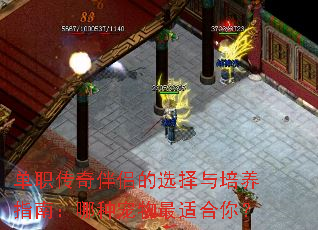 ��ְ������µ�ѡ��������ָ�ϣ����ֳ������ʺ��㣿
