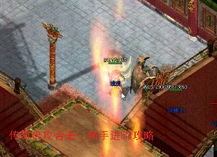 ���汶���ϻ������ֽ��׹���