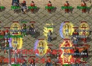 1.76���ɾ��䣬��Ѫ���湥����⣬ָ���Խ����ͻԻ�