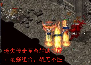 迷失传奇至尊辅助搭配:最强组合,战无不胜 迷失传奇至尊辅助搭配:最强组合,战无不胜