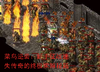 菜鸟逆袭:新手征战迷失传奇的终极求解秘籍 菜鸟逆袭:新手征战迷失传奇的终极求解秘籍