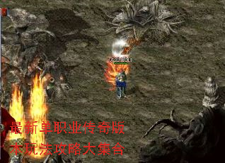 ���µ�ְҵ����汾�淨���Դ󼯺�