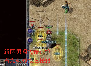 新区勇闯传奇:抢占先机的致胜秘籍 新区勇闯传奇:抢占先机的致胜秘籍