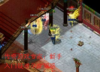 ������Ϸר�ң���������������֢���