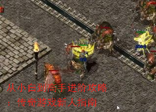 ��С�׵����ֽ��׹��ԣ�������Ϸ����ָ��