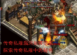 ����˽��©������ھ�̽������˽���е�����