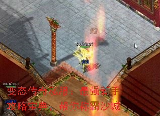 ��̬����˽������ǿ���ֹ��Ա��䣬����ư�ɳ��