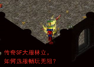����SF������������ѡ���������裿