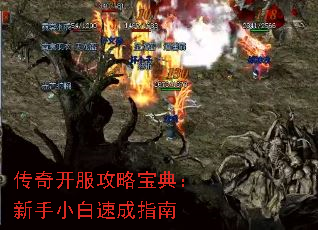���濪�����Ա��䣺����С���ٳ�ָ��