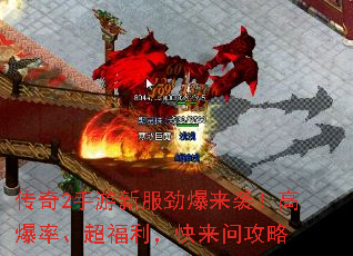 ����2�����·�������Ϯ���߱��ʡ��������������ʹ���
