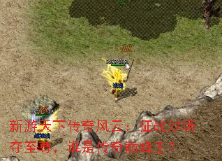 新游天下传奇风云:征战沙场夺至尊,谁是传奇巅峰王? 新游天下传奇风云:征战沙场夺至尊,谁是传奇巅峰王?