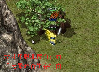 新开单职业传奇:新手进服必备生存指南 新开单职业传奇:新手进服必备生存指南
