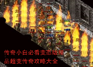 ����С�ױؿ���̬�澫Ʒ���䴫�湥�Դ�ȫ