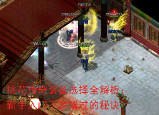 桃花传奇装备选择全解析:新手入门不容错过的秘诀 桃花传奇装备选择全解析:新手入门不容错过的秘诀