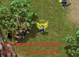 桃花传奇装备选择全解析:新手入门不容错过的秘诀 桃花传奇装备选择全解析:新手入门不容错过的秘诀