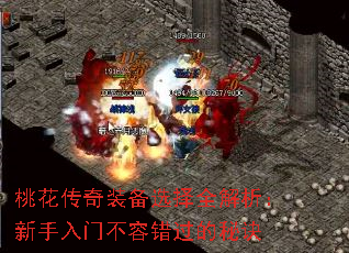 桃花传奇装备选择全解析:新手入门不容错过的秘诀 桃花传奇装备选择全解析:新手入门不容错过的秘诀