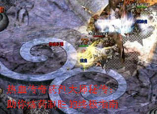 ��Ѫ����ҩ����ʦ�ش���������ҩ��ʤ���ռ�ָ��