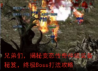 �ֵ��ǣ����ر�̬������װ�����ţ��ռ�Boss�򷨹���
