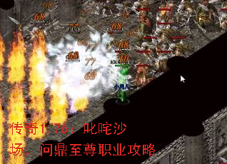 ����1.76��߳��ɳ�����ʶ�����ְҵ����