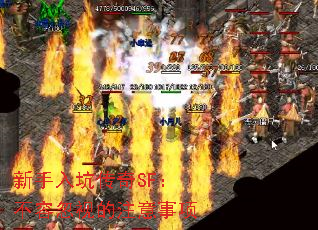������Ӵ���SF�����ݺ��ӵ�ע������