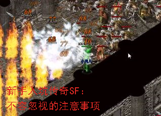 ������Ӵ���SF�����ݺ��ӵ�ע������