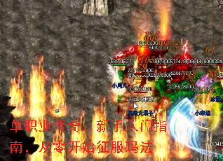 ��ְҵ���棺��������ָ�ϣ����㿪ʼ�����귨