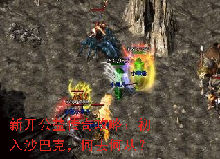 新开公益传奇攻略:初入沙巴克,何去何从? 新开公益传奇攻略:初入沙巴克,何去何从?