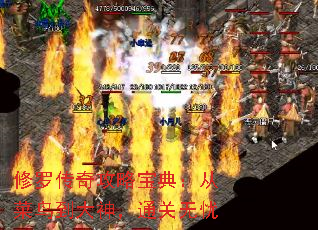 修罗传奇攻略宝典:从菜鸟到大神,通关无忧 修罗传奇攻略宝典:从菜鸟到大神,通关无忧