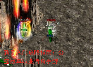 �������Ź���ָ�ϣ�����浥ְҵ��������