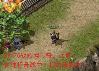 SF175ս�������棬��ο�������ս�����ưԷ�������