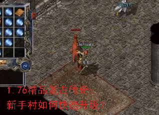 1.76��Ʒ���Ŵ��棺���ִ���ο���������