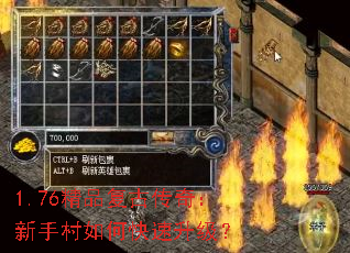1.76��Ʒ���Ŵ��棺���ִ���ο���������