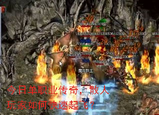 ���յ�ְҵ���棬ɢ�������ο�����ɣ�