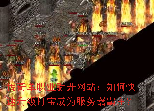���浥ְҵ�¿���վ����ο��������򱦳�Ϊ������������