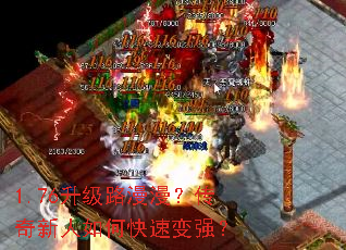 1.76����·����������������ο��ٱ�ǿ��