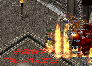 1.76����·����������������ο��ٱ�ǿ��