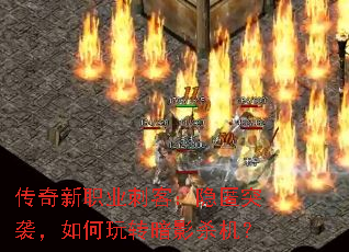 ������ְҵ�̿ͣ�����ͻϮ�������ת��Ӱɱ����