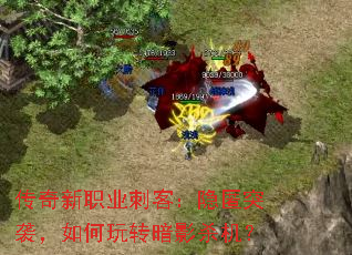 ������ְҵ�̿ͣ�����ͻϮ�������ת��Ӱɱ����