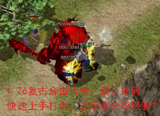 1.76���źϻ����棺������ο������ִ������ҷ������飿