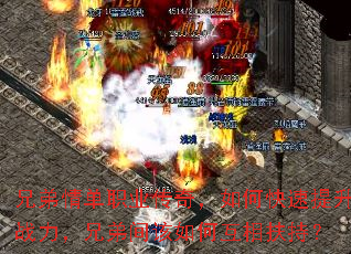 �ֵ��鵥ְҵ���棬��ο�������ս�����ֵܼ����λ�����֣�