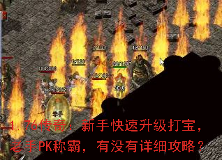 1.76���棺���ֿ��������򱦣�����PK�ưԣ���û����ϸ���ԣ�