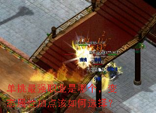 ������ǿְҵ���ĸ�����̬���Լӵ�����ѡ��