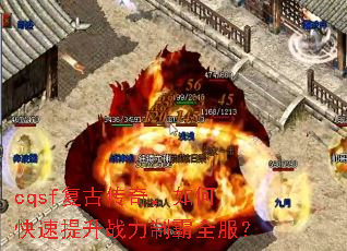 cqsf���Ŵ��棬��ο�������ս���ư�ȫ����