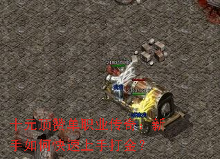 ʮԪ���޵�ְҵ���棺������ο������ִ��