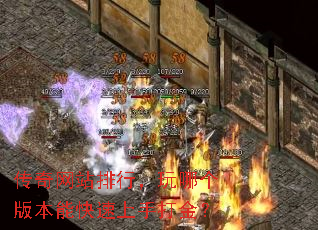 ������վ���У����ĸ��汾�ܿ������ִ��