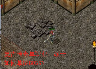 ���Ŵ��浥ְҵ��սʿ��ε���BOSS��