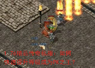 1.76��Ʒ����˽������ο��������ȼ���ΪPK֮����
