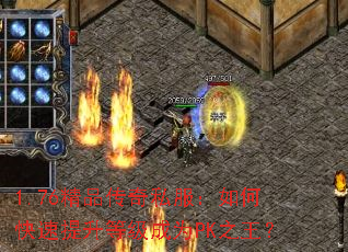 1.76��Ʒ����˽������ο��������ȼ���ΪPK֮����